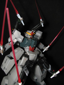 seravee 015_jpg